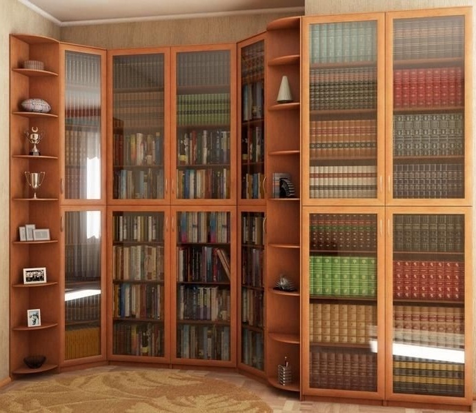 Книжный шкаф для домашней библиотеки 
